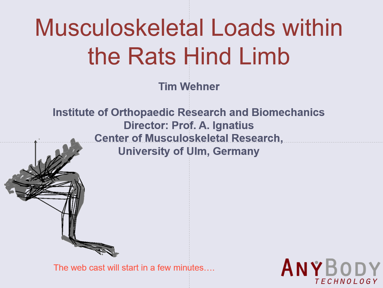 Musculoskeletal Loads within the Rats Hind Limb