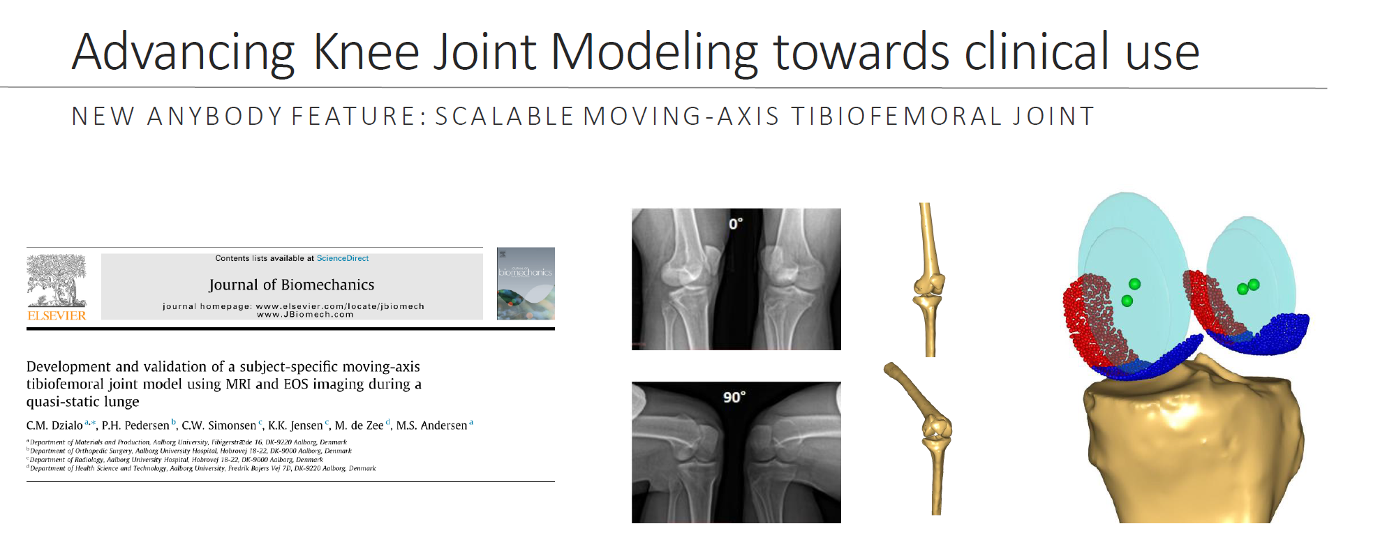 Advancing knee joint modeling towards clinical use