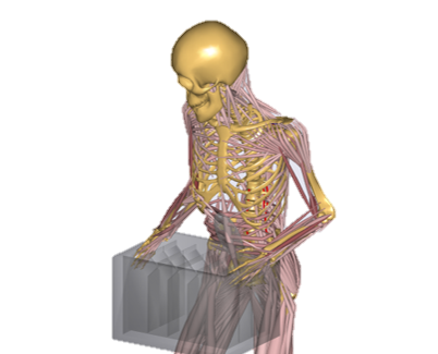 Musculoskeletal modeling of manual materials handling in the Danish supermarket sector