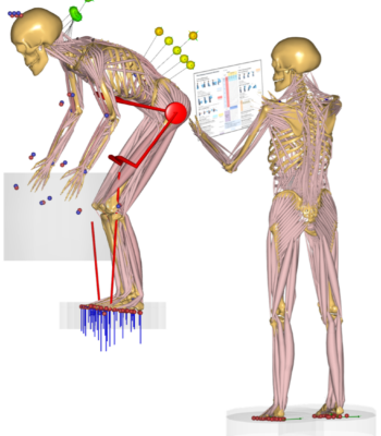 AnyBody for Ergonomics