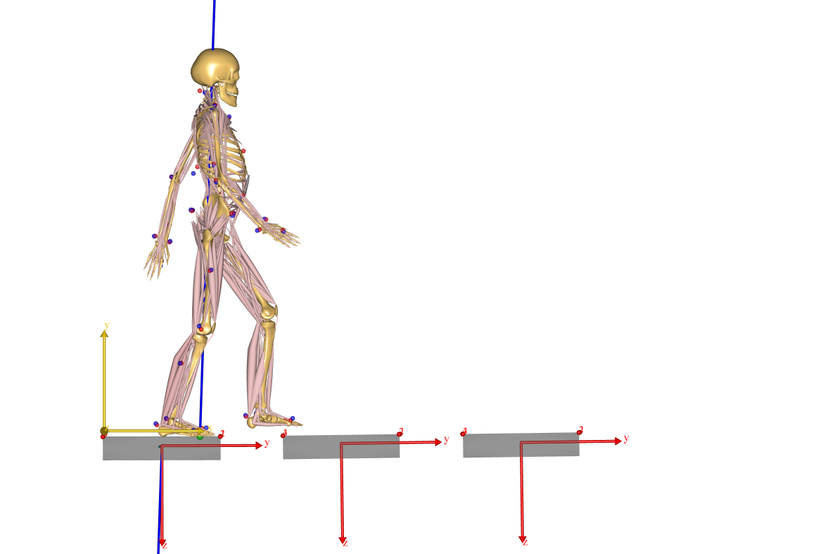 Gait analysis