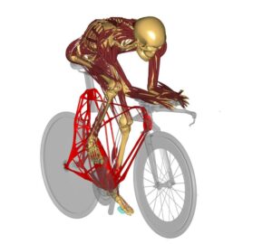 AnyBody human model riding a bicycle