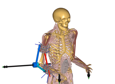 Exoskeleton design