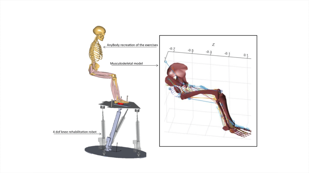 Validation of a real-time musculoskeletal model with AnyBody - AnyBody ...