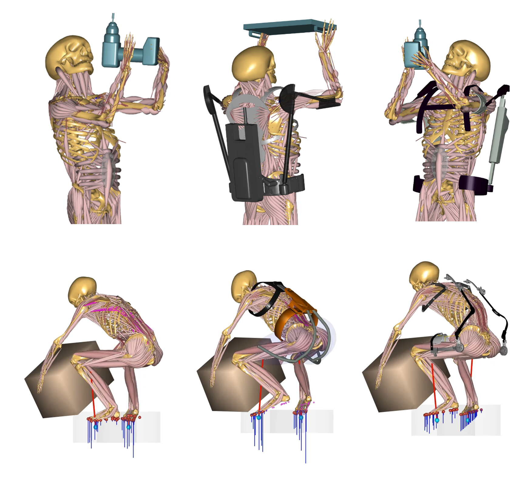 The presentation will outline and discuss the results of a modeling study within the research project DigitalExonomics. The AnyBody Modeling SystemTM was used to evaluate the biomechanical effectiveness of existing occupational exoskeletons. For this purpose, motion data was collected in realistic use cases that were digitally planned and set up together with relevant industry stakeholders. Further, a methodological approach for the assessment of intended and unintended effects was developed to investigate the complex biomechanical interaction of exoskeletons with the human musculoskeletal system.