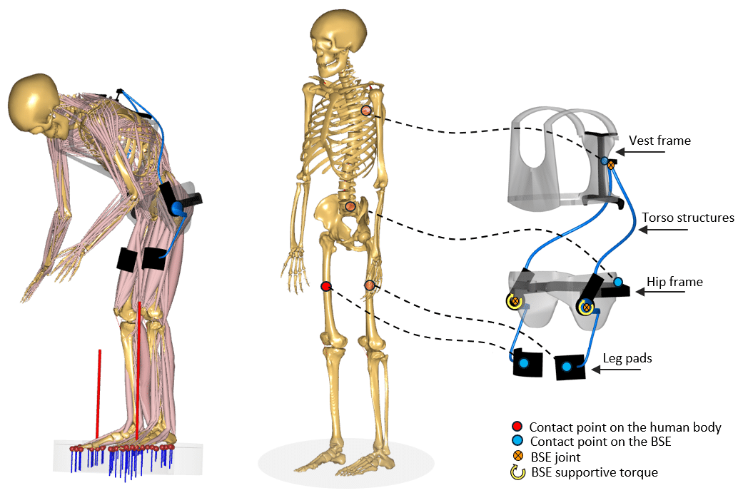 Biomechanical Simulation of Passive Back-Support Exoskeletons: Effects of Actuator Strength on Load and Contact Stress